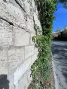 Pest megye - Telki