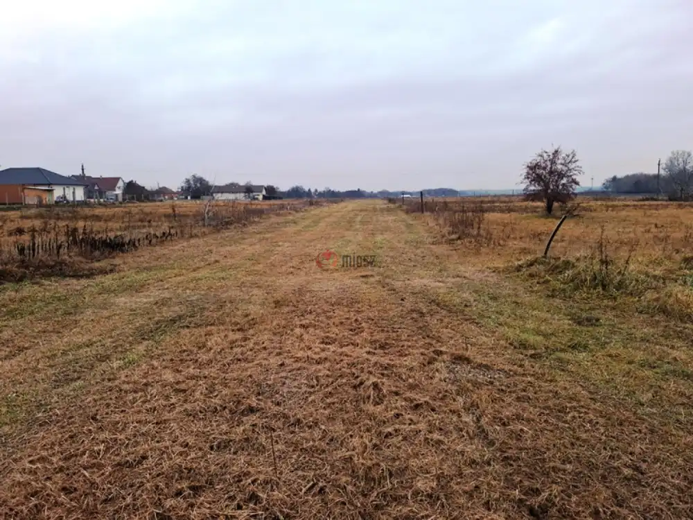 Pest megye - Tököl