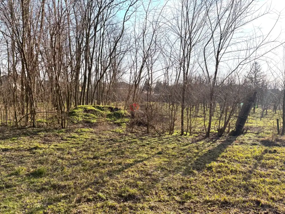 Szabolcs-Szatmár-Bereg megye - Újfehértó