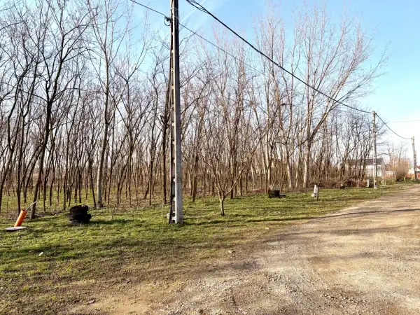 Eladó Építési telek, Újfehértó 646 m² 13 M Ft