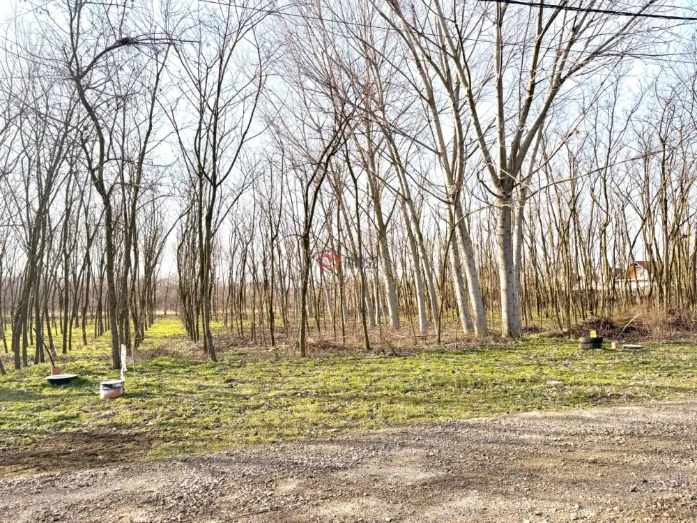 Szabolcs-Szatmár-Bereg megye - Újfehértó