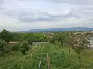 Pest megye - Vác