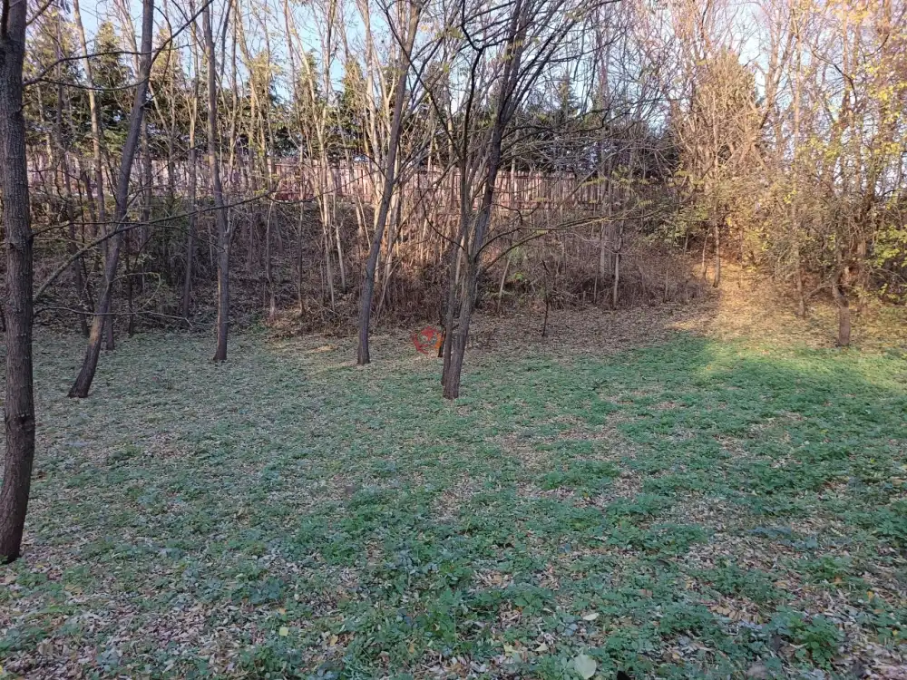 Pest megye - Veresegyház