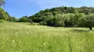 Zala megye - Zalaegerszeg