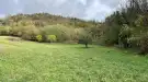Zala megye - Zalaegerszeg