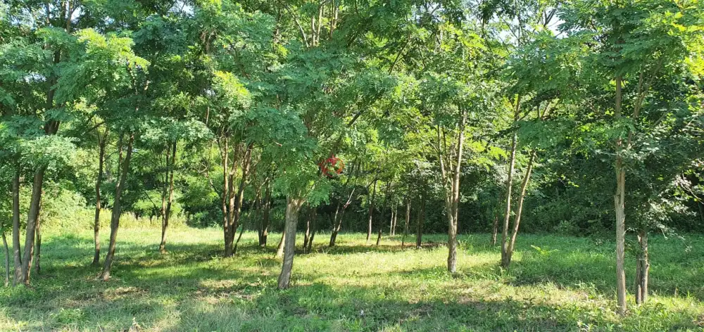 Zala megye - Zalaegerszeg