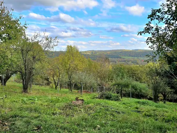 Eladó Építési telek, Zalaegerszeg 5300 m² 6.8 M Ft