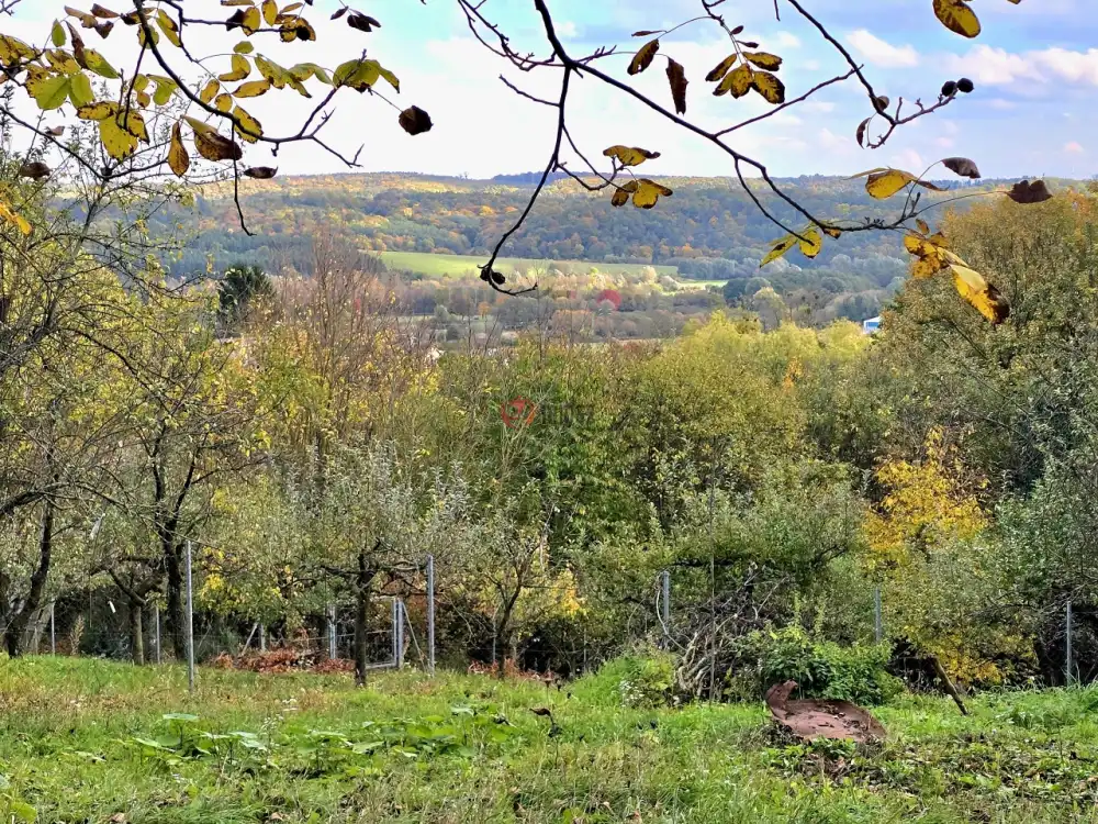 Zala megye - Zalaegerszeg