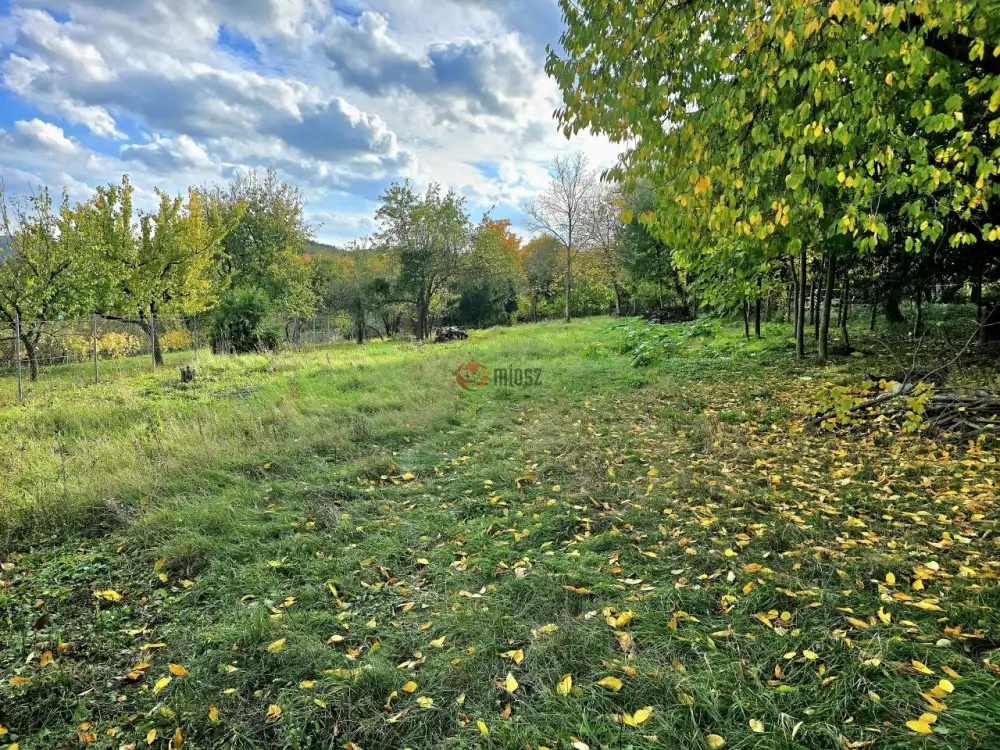 Zala megye - Zalaegerszeg