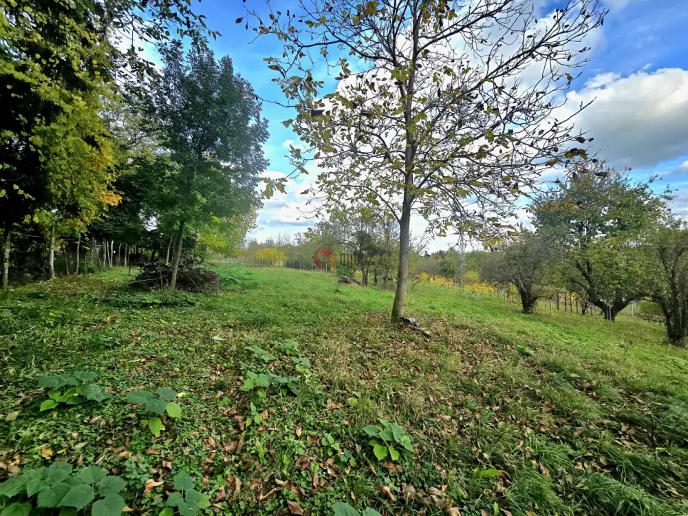 Zala megye - Zalaegerszeg