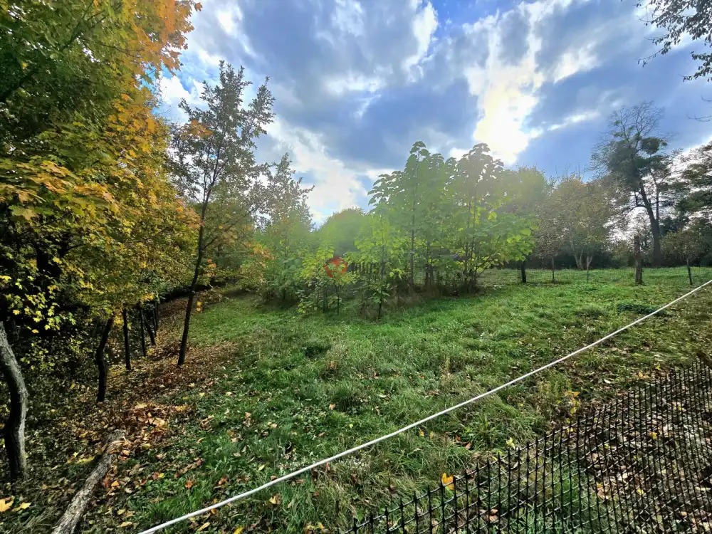 Zala megye - Zalaegerszeg