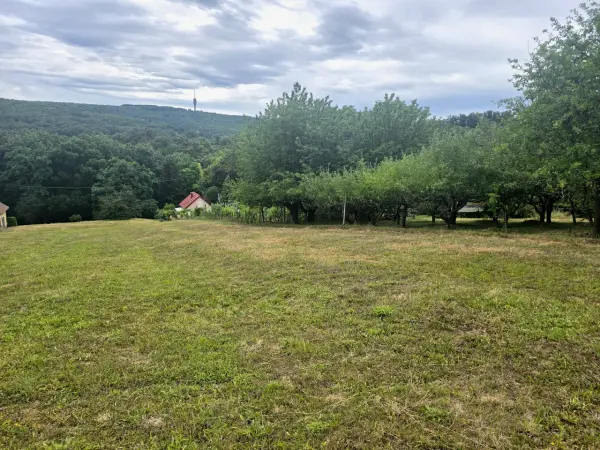 Eladó Építési telek, Zalaegerszeg 3185 m² 11.75 M Ft