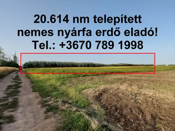 Eladó Erdő, Hajdúnánás 20617 m² 12.88 M Ft Eladó Erdő, Hajdúnánás 20617 m² 12.88 M Ft