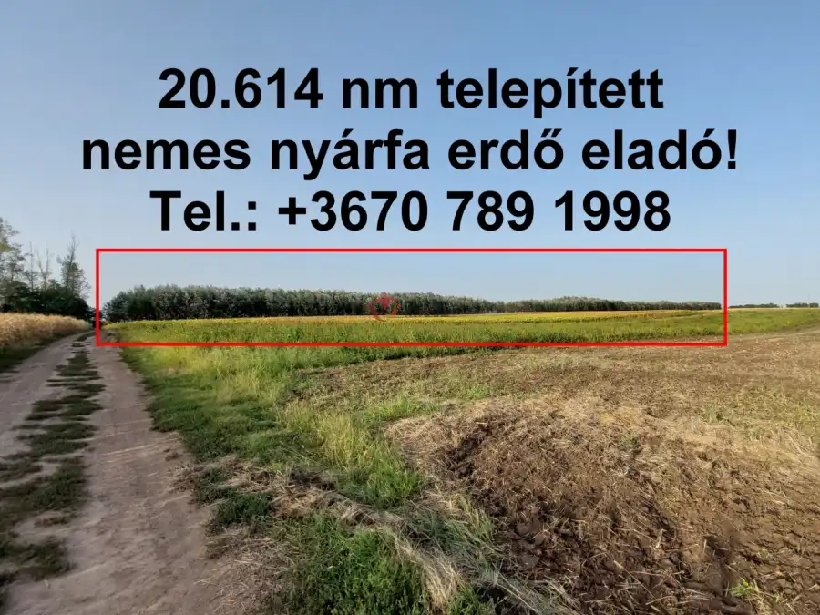 eladó  Erdő, Hajdúnánás eladó  Erdő, Hajdúnánás