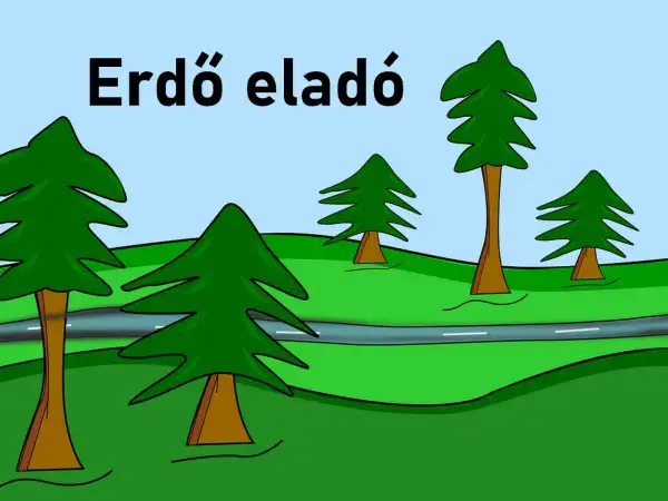 Eladó Erdő, Hajdúnánás 20617 m² 12.88 M Ft