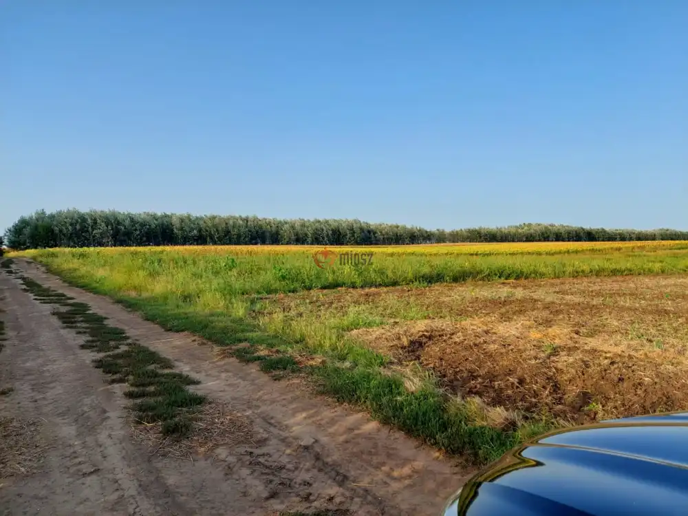 Hajdú-Bihar megye - Hajdúnánás