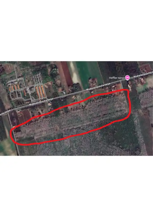 Eladó Erdő, Madaras 110667 m² 15 M Ft