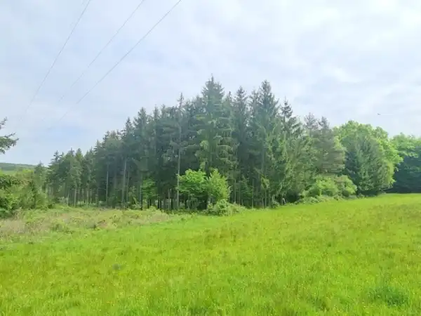 Eladó Erdő, Nagyrákos 21000 m² 75 M Ft