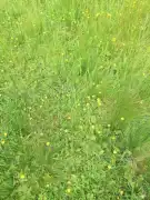 Vas megye - Nagyrákos