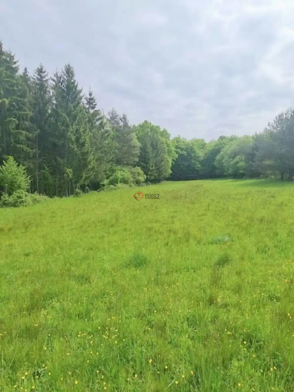 Vas megye - Nagyrákos