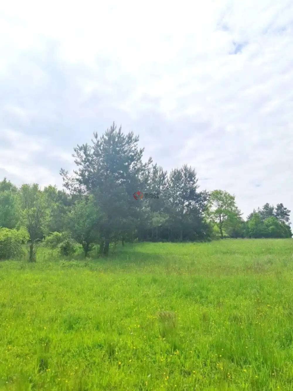 Vas megye - Nagyrákos