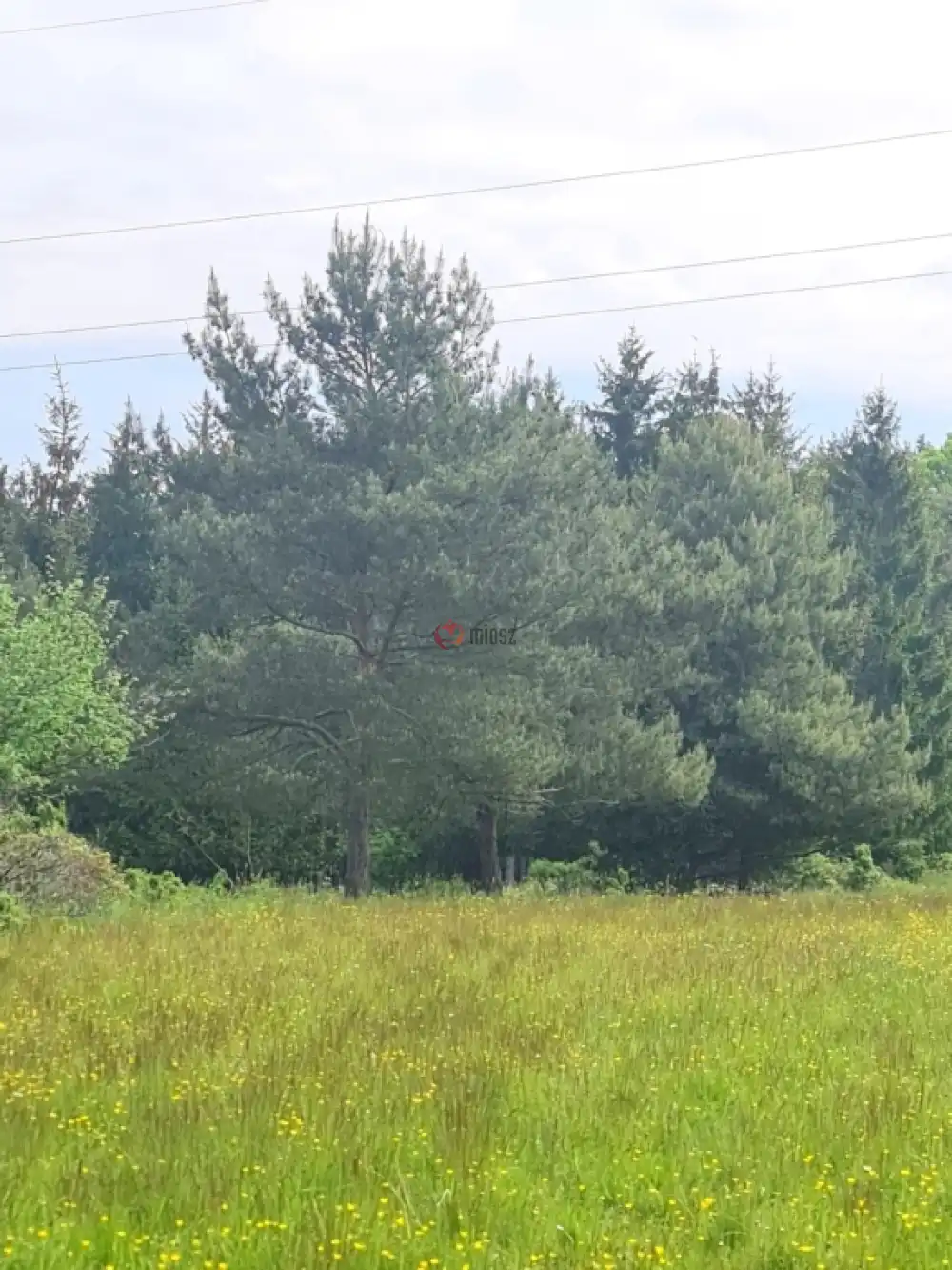 Vas megye - Nagyrákos