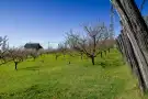 Borsod-Abaúj-Zemplén megye - Edelény
