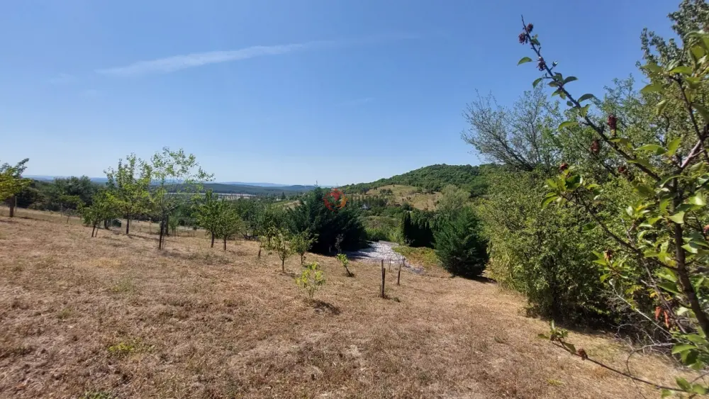 Veszprém megye - Pécsely