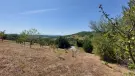 Veszprém megye - Pécsely