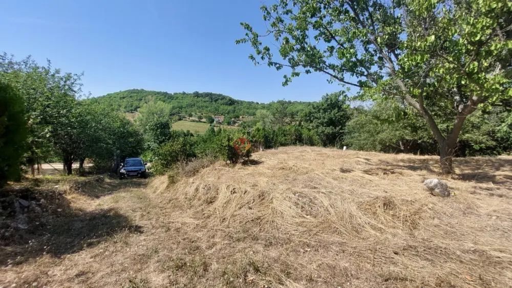 Veszprém megye - Pécsely