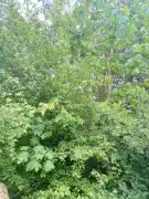 Zala megye - Zalaegerszeg