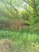 Zala megye - Zalaegerszeg