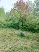 Zala megye - Zalaegerszeg