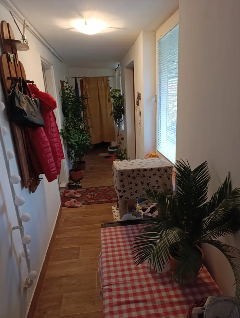 Bács-Kiskun megye - Baja