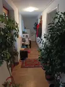 Bács-Kiskun megye - Baja