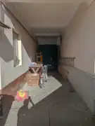 Bács-Kiskun megye - Baja