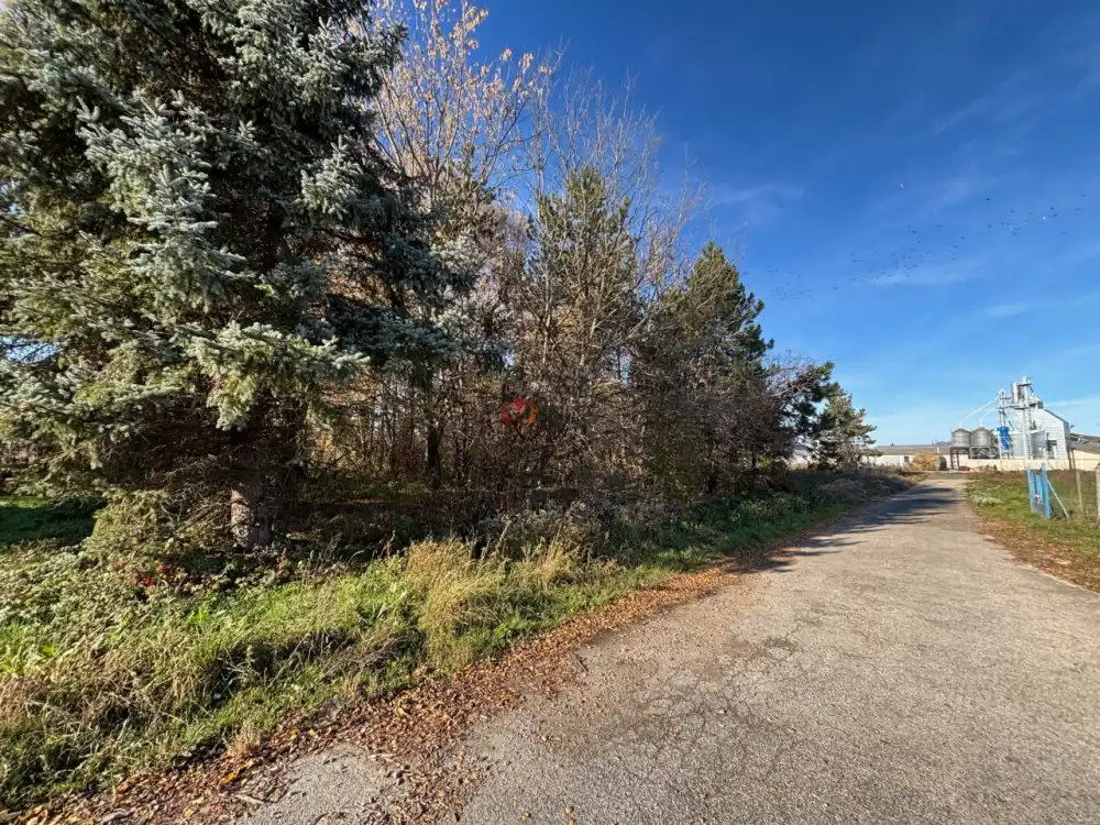 Komárom-Esztergom megye - Bábolna