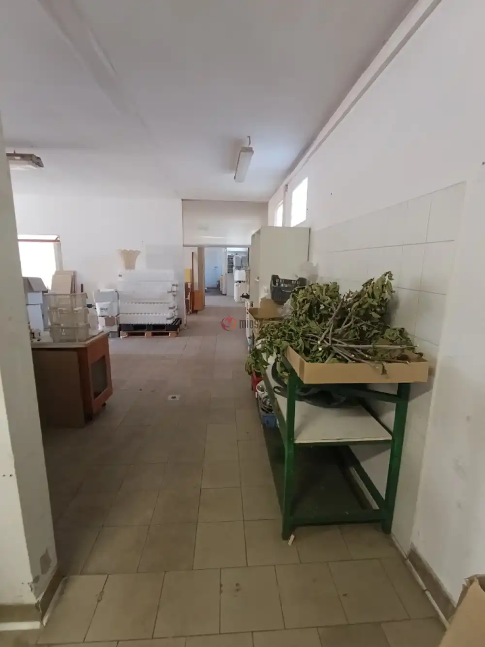 Bács-Kiskun megye - Baja