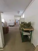 Bács-Kiskun megye - Baja