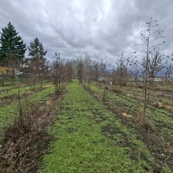 Eladó Kereskedelmi telek, Nagyigmánd 8440 m² 23 M Ft