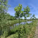 Komárom-Esztergom megye - Nagyigmánd