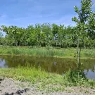 Komárom-Esztergom megye - Nagyigmánd