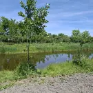 Komárom-Esztergom megye - Nagyigmánd