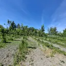 Komárom-Esztergom megye - Nagyigmánd