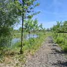 Komárom-Esztergom megye - Nagyigmánd
