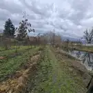 Komárom-Esztergom megye - Nagyigmánd