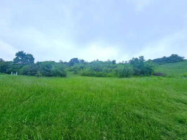 Eladó Legelő, Mány 22300 m² 21 M Ft