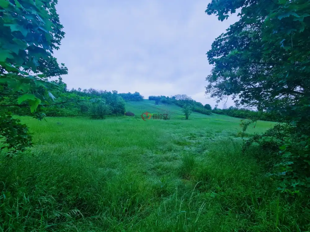 Fejér megye - Mány