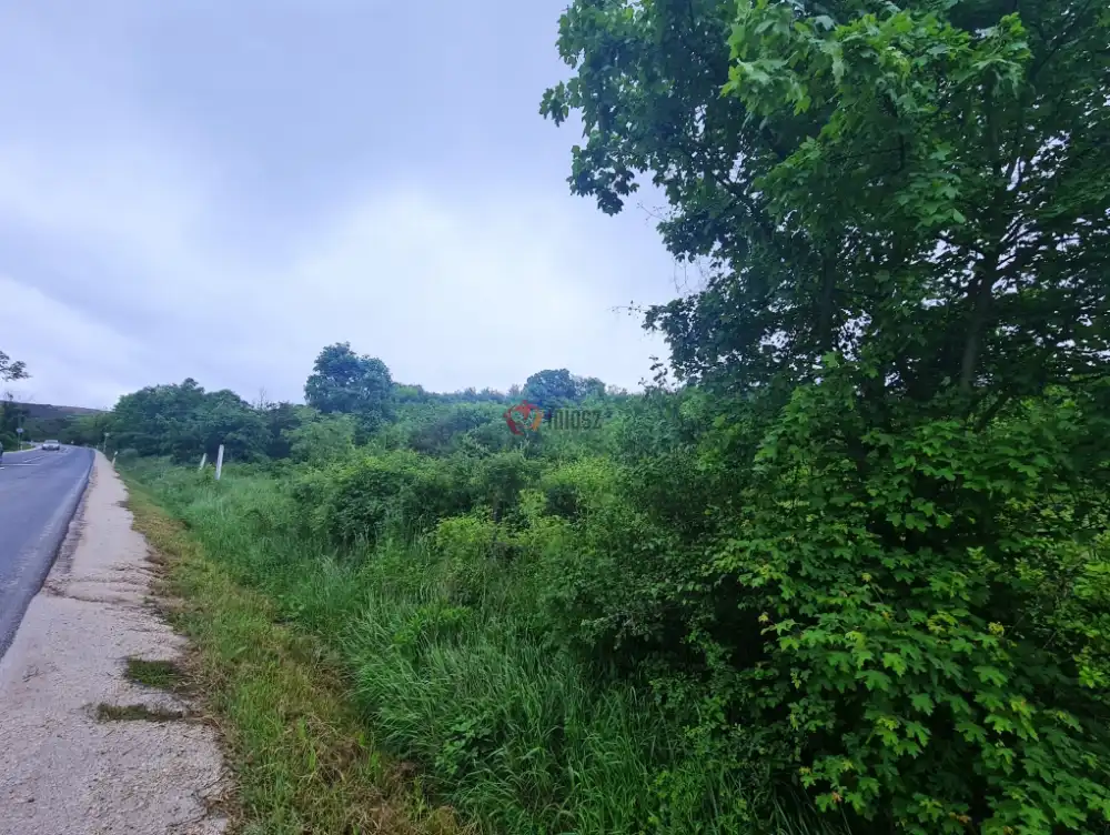 Fejér megye - Mány