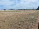 Hajdú-Bihar megye - Polgár